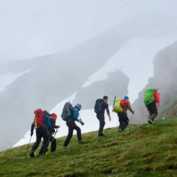 טיולילה בחיפה